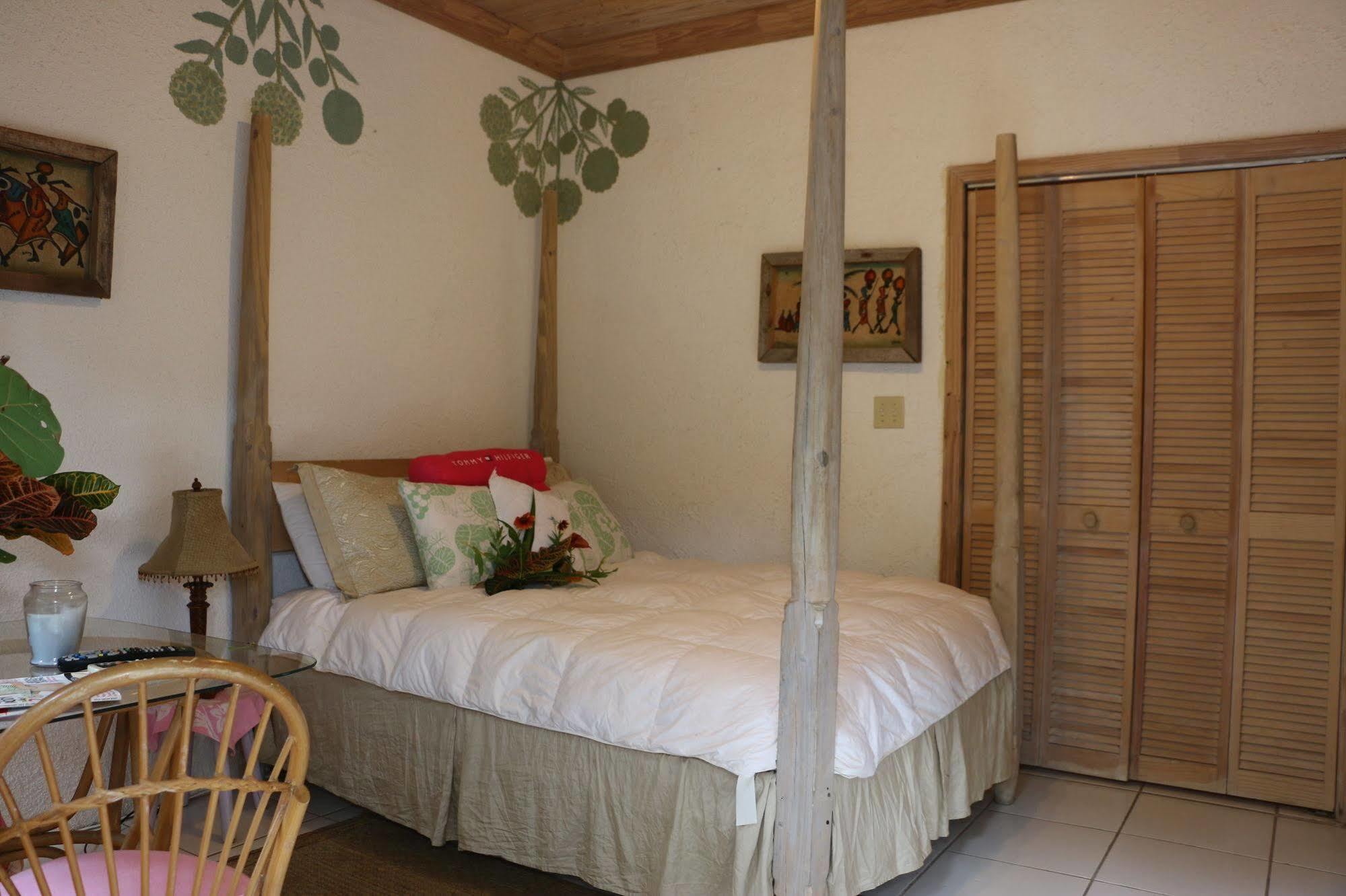 The Sugar Apple Lodging Dunmore Town Eksteriør billede