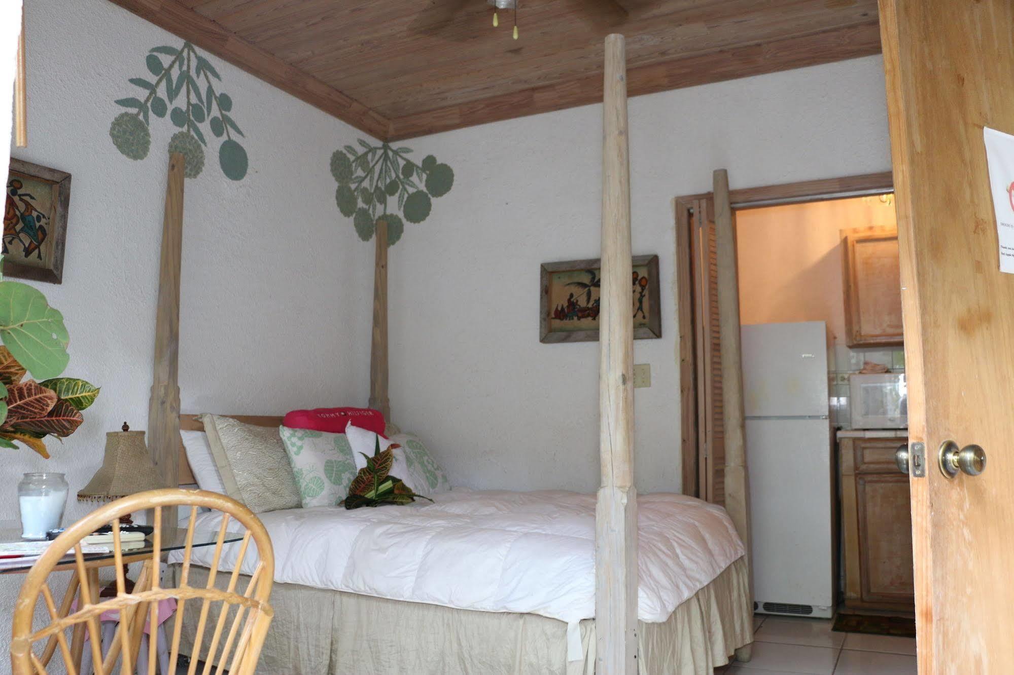 The Sugar Apple Lodging Dunmore Town Eksteriør billede
