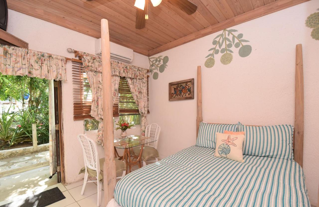 The Sugar Apple Lodging Dunmore Town Eksteriør billede