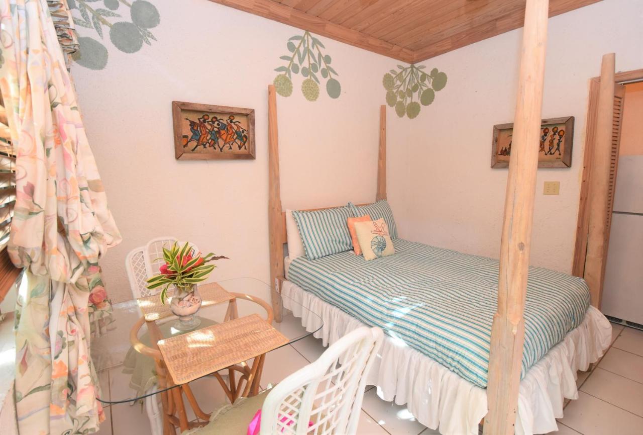The Sugar Apple Lodging Dunmore Town Eksteriør billede